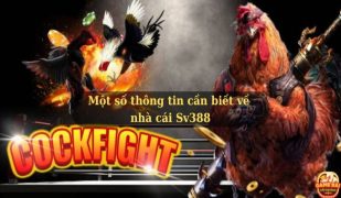 Mot-so-thong-tin-can-biet-ve-nha-cai-Sv388