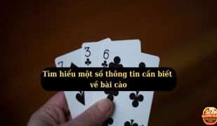 Tim-hieu-mot-so-thong-tin-can-biet-ve-bai-cao