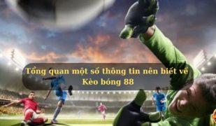 Tong-quan-mot-so-thong-tin-nen-biet-ve-Keo-bong-88